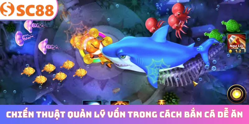 Chiến thuật quản lý vốn trong cách bắn cá dễ ăn